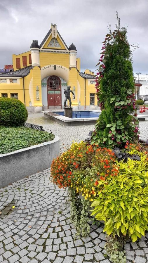 Apartment Maaherrankatu, Ilmainen Kadunvarsipysaekoeinti Kuopio
